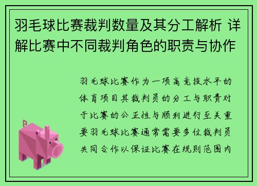羽毛球比赛裁判数量及其分工解析 详解比赛中不同裁判角色的职责与协作